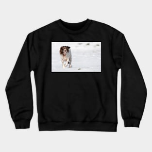 English Springer Spaniel Crewneck Sweatshirt